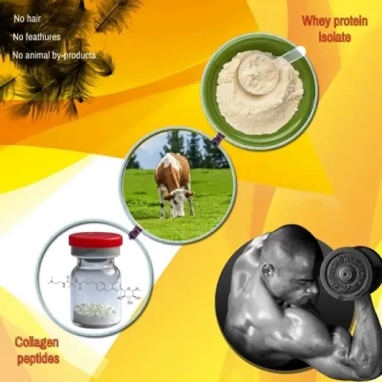 Twinlab Amino Fuel Liquid Orange Rush - Caffeine Free Pre & Post Workout Amino Energy Drink with BCAA & Collagen Peptides - 16 fl oz image {4}