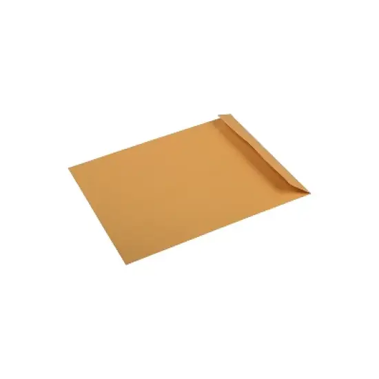 JAM Paper Premium Catalog Envelope 10" x 13" Manila V018286 image {3}