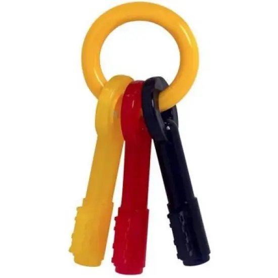 Nylabone Puppy Chew Teething Keys Chew Toy - Large image {3}