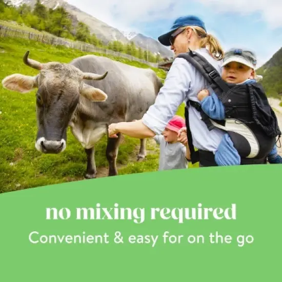 Similac Pure Bliss Ready to Feed Organic Infant Formula - 16 fl oz/8pk image {15}