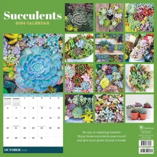 TF Publishing 2024 Wall Calendar 12"x12" Succulents image {4}