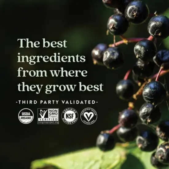 New Chapter Organic Elderberry Vegan Gummies - 60ct image {5}