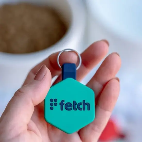 Lifekey Fetch Smart Pet Tag image {5}