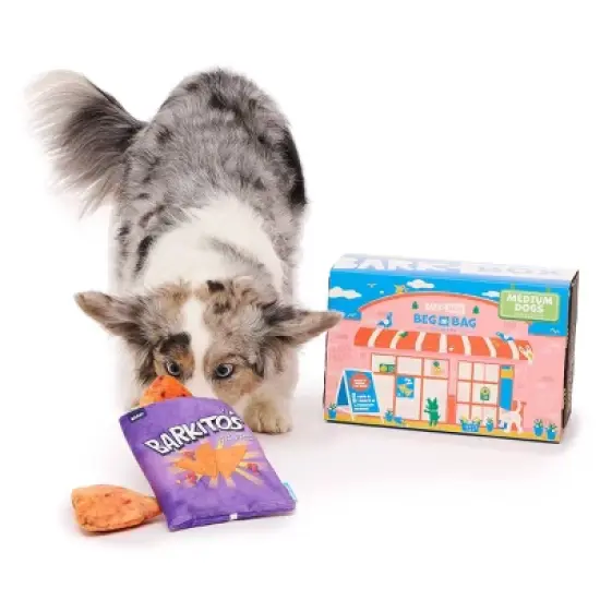 BARK Beg-n-Bag Medium Box Dog Plush Toy Set - 5pc image {3}