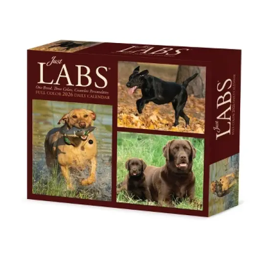 Willow Creek Press 2026 Just Labs Box Calendar image {6}