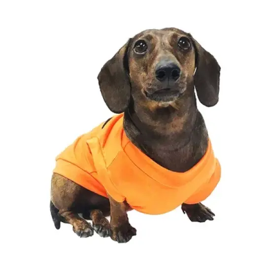 Midlee Pumpkin Face Dog Shirt Costume image {2}