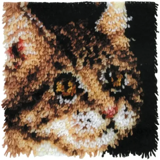 Wonderart Latch Hook Kit 12"X12"-Tabby image {3}