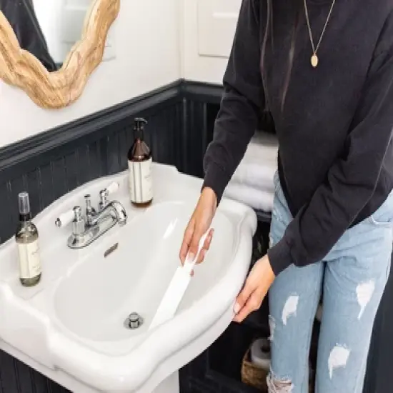 Powerstone Pumice Stone Toilet Bowl Cleaner w/ Handle image {1}