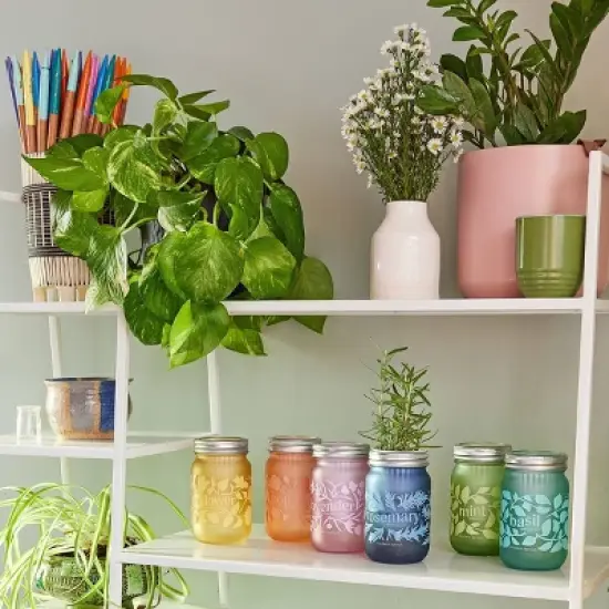 Modern Sprout Poppy Purple Pint Jar Grow Kit image {2}