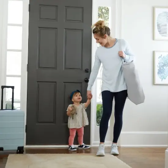 Graco Dream More 3-in-1 Travel Bassinet - Gray image {4}