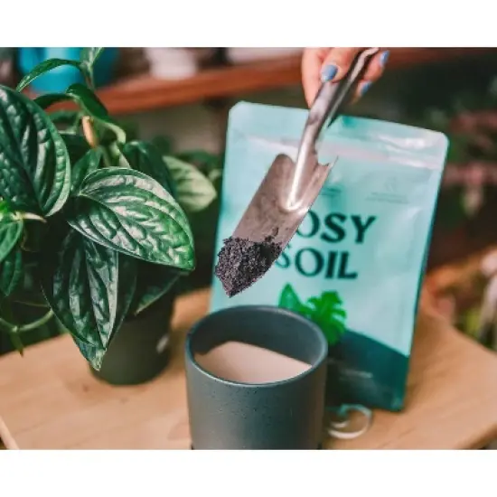 Rosy Soil Potting Soil image {9}