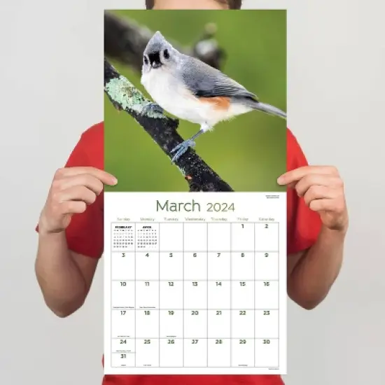 TF Publishing 2024 Wall Calendar 12"x12" Backyard Birds image {3}
