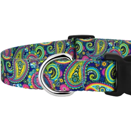 Country Brook Petz Deluxe Bright Paisley Dog Collar and Leash image {4}