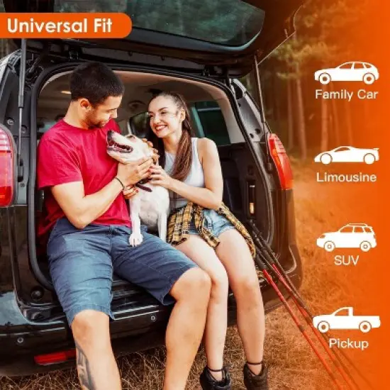 Dog Car Seat Cover Waterproof Scratchproof Pet Car Rear Protector Mat Pet image {7}