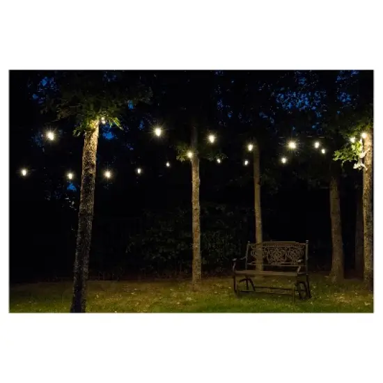 9ct Classic Caf&eacute; Outdoor String Lights Integrated LED Bulb - Black Wire - Enbrighten image {5}