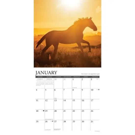 Willow Creek Press 2026 What Horses Teach Us Wall Calendar image {2}