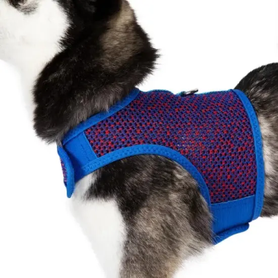 Doggie Design Active Mesh Dog Harness with Leash - Blue & Red image {2}