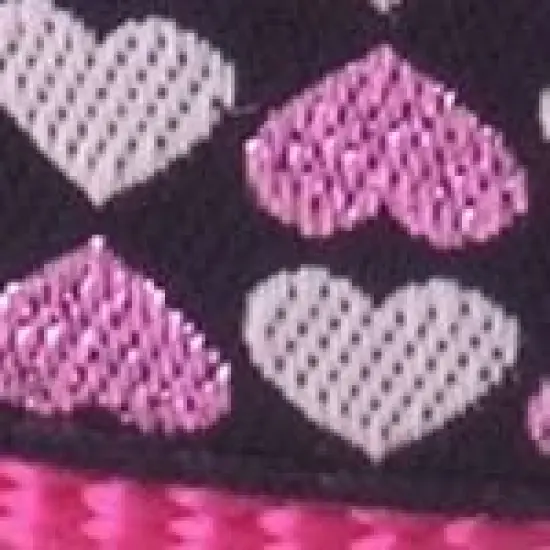 The Worthy Dog Hearts Dog Leash image {2}