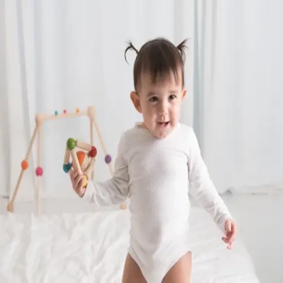 Plantoys| Triangle Clutching Toy image {8}