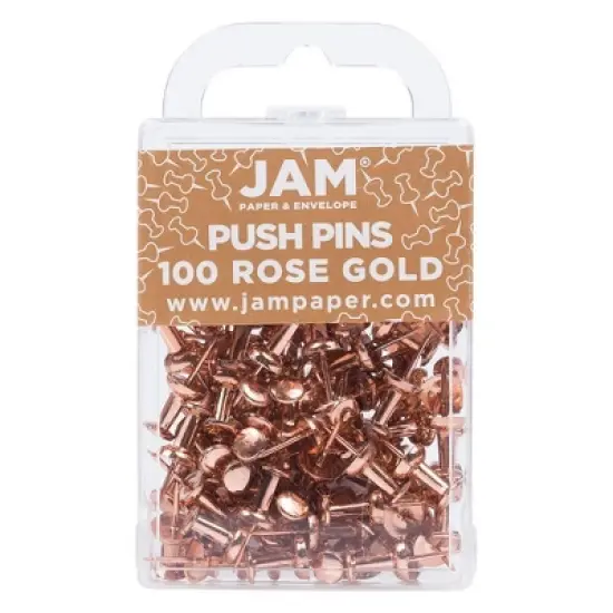JAM Paper 100pk Colorful Push Pins image {13}