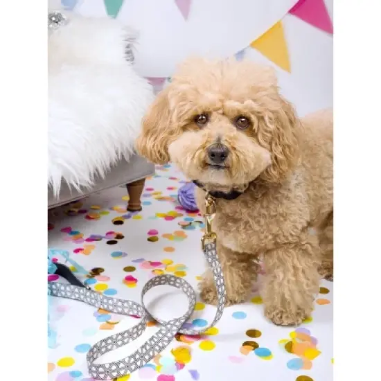 Pink Papyrus Avery Dog Leash image {1}