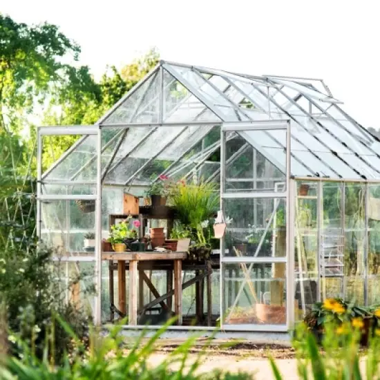 Okuna Outpost 6 Mil Greenhouse Plastic Sheeting Roll, 25x40 ft UV Resistant Polyethylene Cover for Agriculture and Farming Herbs, Vegetables, Flowers image {2}