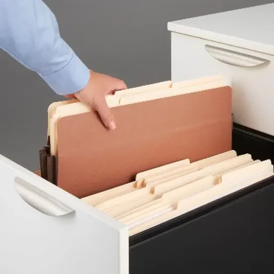 HITOUCH BUSINESS SERVICES Heavy-Duty Reinforced File Pocket 5.25" Exp Legal Size Brown 10/BX image {3}