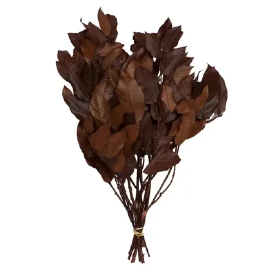 Vickerman 16-22" Natural Botanicals Salal Foliage Bunch image {7}