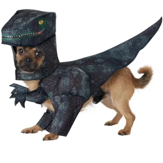 California Costumes Pupasaurus T-Rex Pet Costume, Medium image {1}
