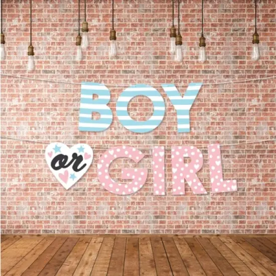 Big Dot of Happiness Baby Gender Reveal - Team Boy or Girl Party Decorations - Boy or Girl - Outdoor Letter Banner image {2}