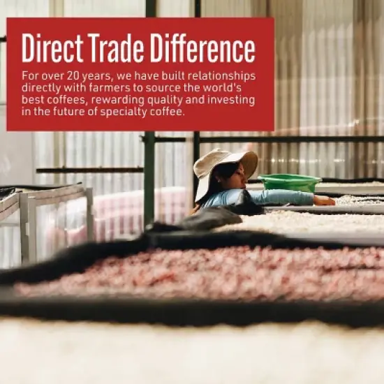 Intelligentsia Direct Trade House Blend Light Roast Whole Bean Coffee - 12oz image {7}