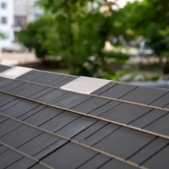 Lifetime 15 ft. x 8 ft. Legacy Outdoor Storage Shed (60465) image {7}