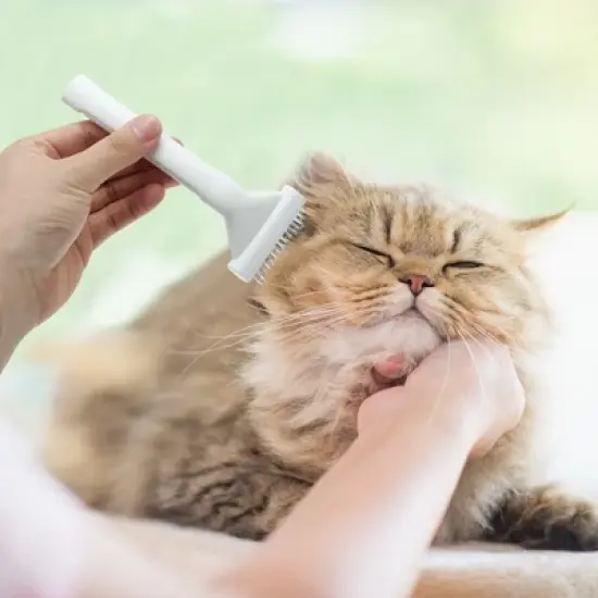 Unique Bargains Deshedding Brush for Cats White 1 Pc image {1}