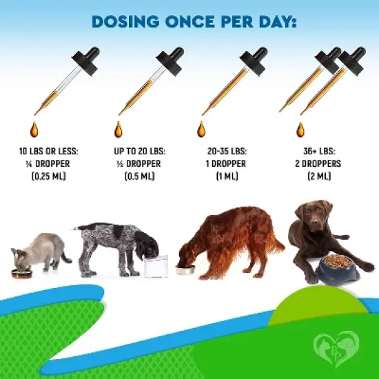 Beloved Pets Cat and Dog Hemp Oil Calming Support Stress Relief, Hip Joint Mobility 2 Oz - 1 Pack image {2}