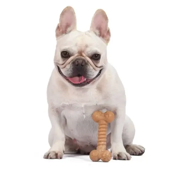 Arm & Hammer PP+Pine Saw Dust Classic Bone Dog Toy - Peanut Butter Flavor - 5" image {4}