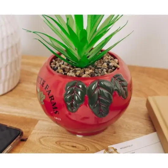 Silver Buffalo The Office Schrute Farms Rustic 8-Inch Planter With Artificial Succulent image {3}