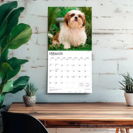 BrownTrout Shih Tzu Puppies 2026 12"x24" Hanging Square Wall Calendar Plastic-Free image {4}