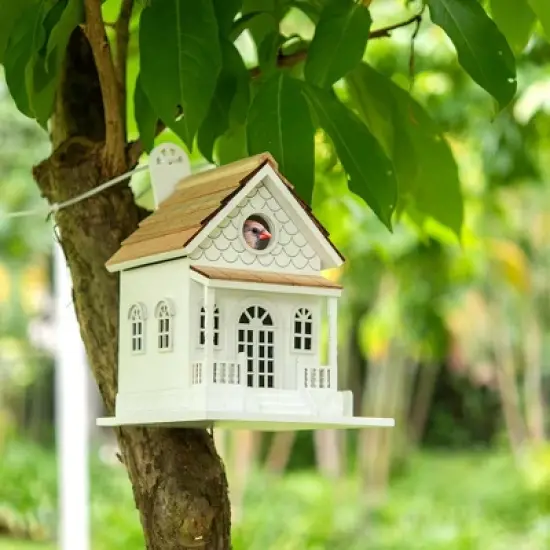 Vandue Outdoor Wooden Birdhouse - Country Colonial image {7}