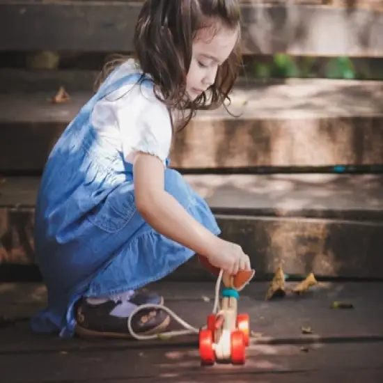 Plantoys| Happy Puppy image {4}