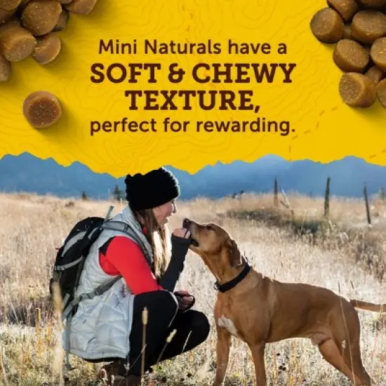 Zukes Mini Naturals Soft Chews with Vitamins & Minerals Salmon Flavor Training Dog Treats - 16oz image {6}