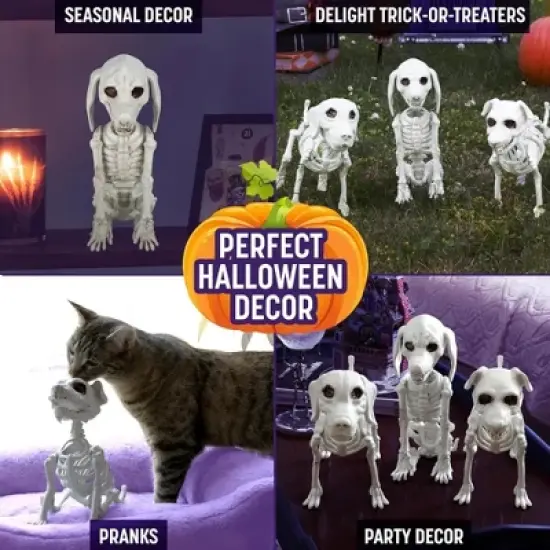 Halloween Dog Skeleton 3 Pack Indoor/Outdoor Decorations-Plastic Animal Bones for Party Table Decor, Haunted Houses- A Trio of Unique Canine Skeletons image {3}