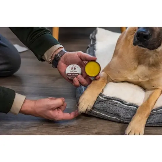 Natural Dog Company Paw Soother Tin - 4oz image {5}