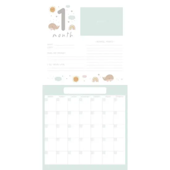 Willow Creek Press Undated Wall Calendar 12"x12" Baby's First Year image {2}