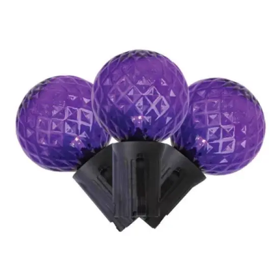 Celebrations Purple 25 ct LED G40 Halloween String Lights image {1}