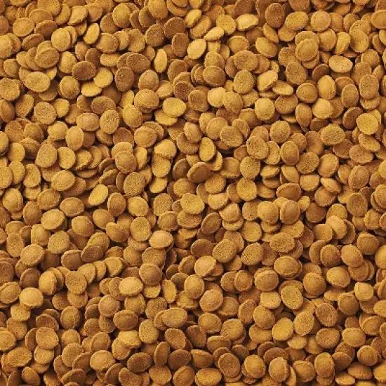 GloFish Wafers for Sharks and Cory Catfish Bottom Feeding Dry Fish Food - 1.58oz image {4}