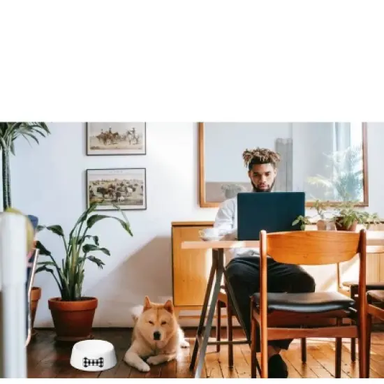 Amici Pet Ceramic Black Gingham Dog Bowl image {4}