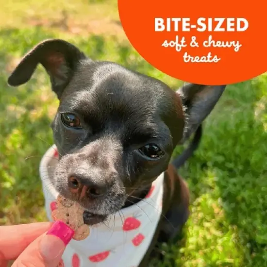 Buddy Biscuits Peanut Butter Soft and Chewy Dog Treats - 6oz image {6}