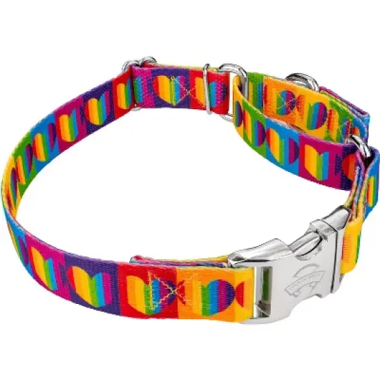 Country Brook Petz Rainbow Hearts Martingale Dog Collar with Premium Buckle (1 Inch, Large) image {3}