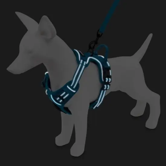 Voyager Dual-Attachment No-Pull Dog Harness for Active and Outdoor Dogs, Turquoise, XS image {4}