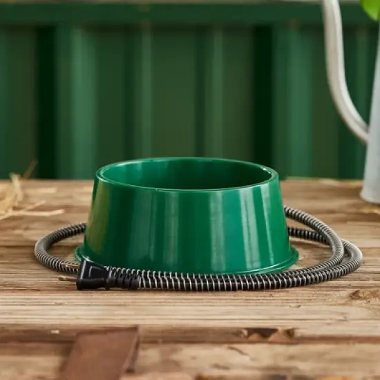 Farm Innovators QT-1 1 Quart Electric Heated Pet Water Bowl with Thermostatic Control and Anti Chew Cord Protector, 25 Watt, Green image {3}